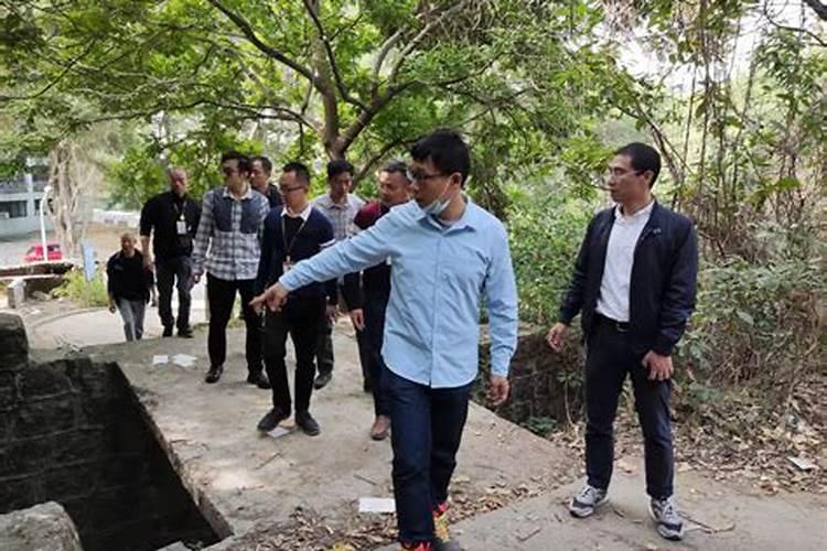 本命年财运怎么样