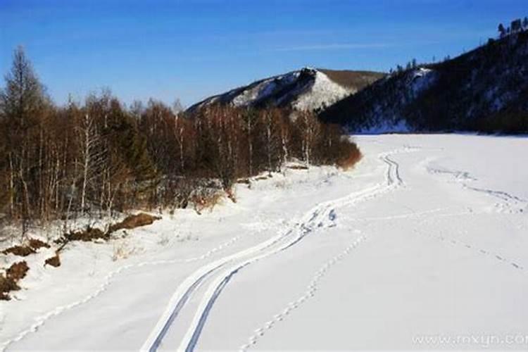 梦见雪地是什么征兆