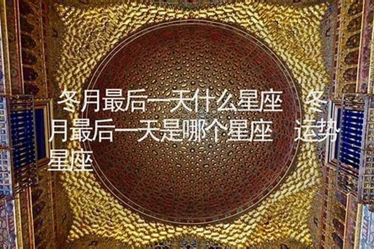 1977年冬月24的蛇在2016年运势怎么样