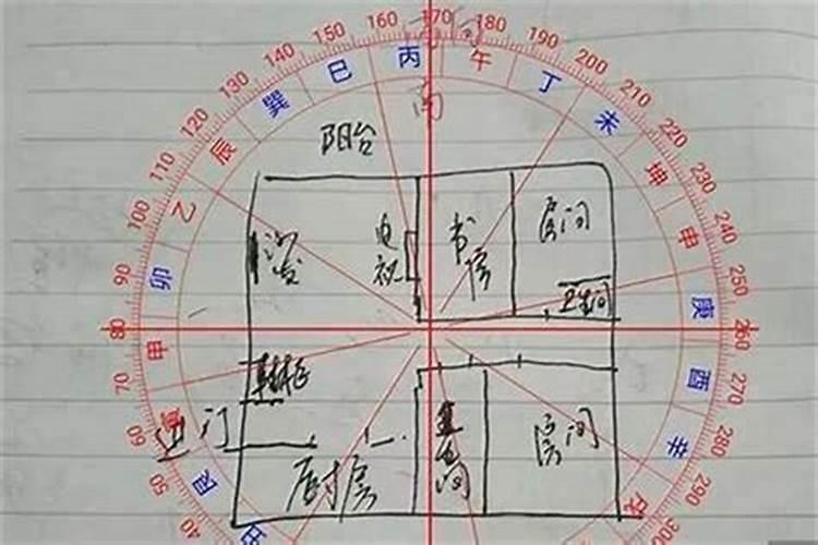 梦见乌龟和鱼是什么意思？