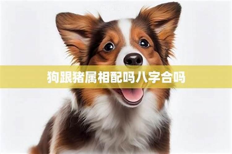 梦见别人结婚穿红色喜服