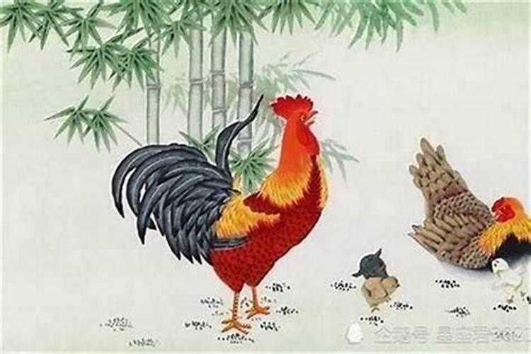 2025属鸡人每月运势及运程如何