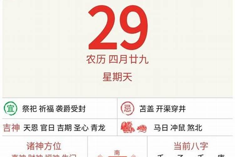 2025年十二生肖每月运势详解