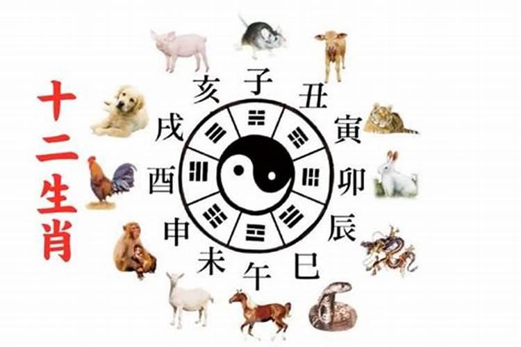 夫妻两人时柱相冲会怎样 八字合婚时辰相冲怎么办？