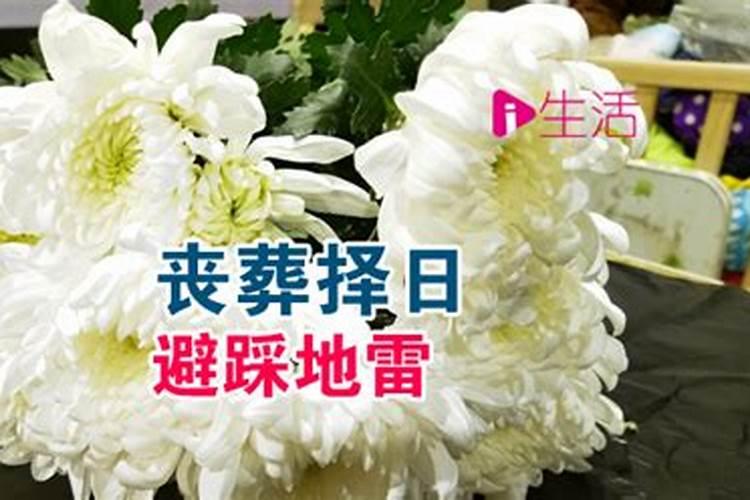 我学会了包饺子作文500字