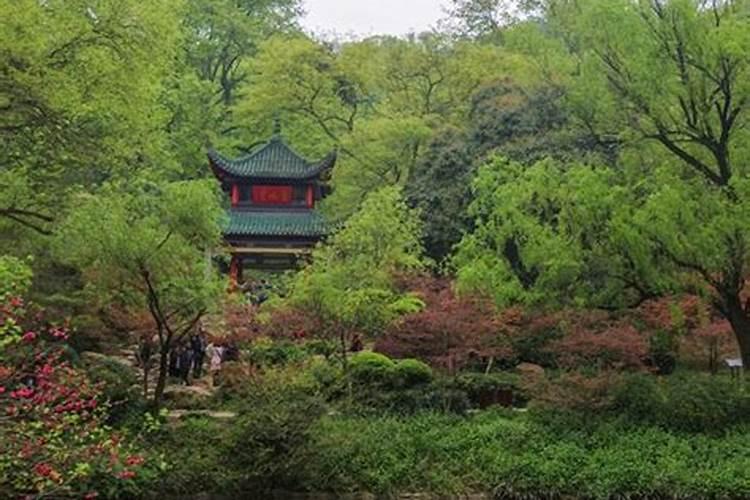 端午节带孩子去长沙哪里好玩,端午在长沙旅游攻略路线