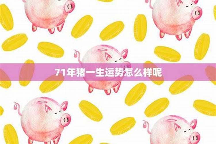 71猪女哪年是灾难