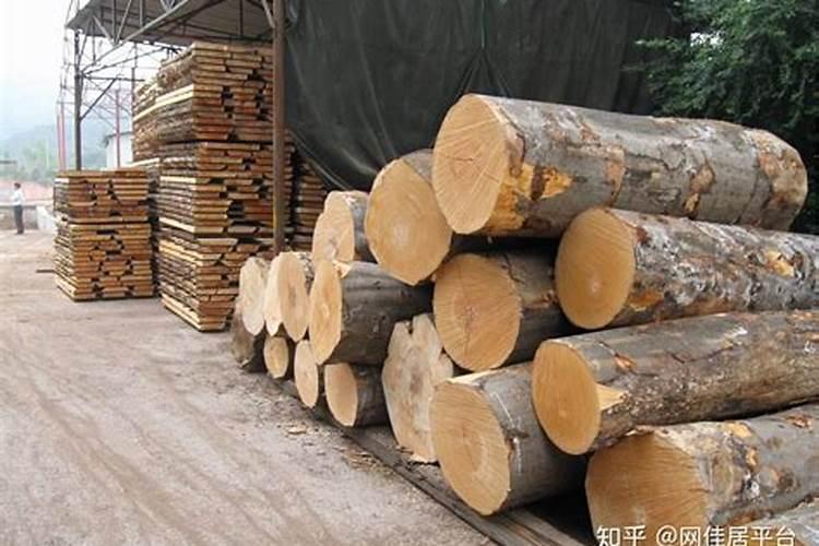 八字中年月支是卯戌,地支寅亥合木,命主贵显是什么意思
