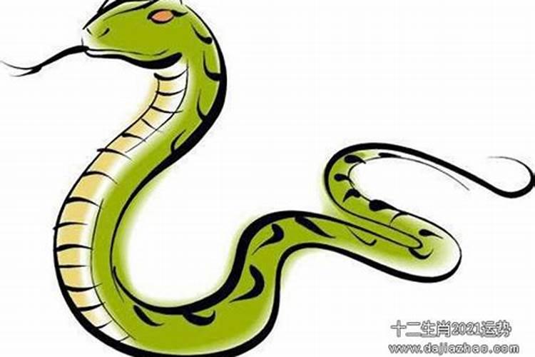 重阳节风俗有哪些