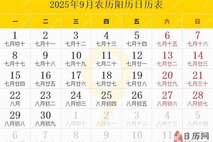 2025属兔人每月运势及运程如何 属兔人2025年运势