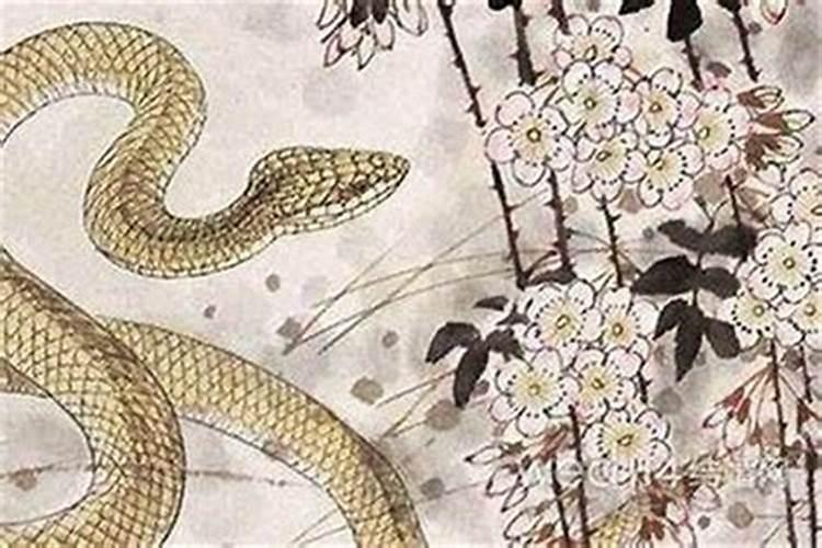 属牛的与属蛇的八字硬吗 适合在一起吗？