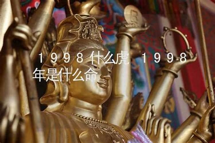梦见年迈的奶奶怀孕