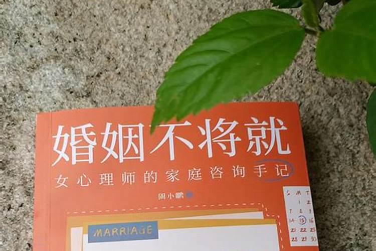 不将就 是什么意思,如果只感情方面又是什么意思？