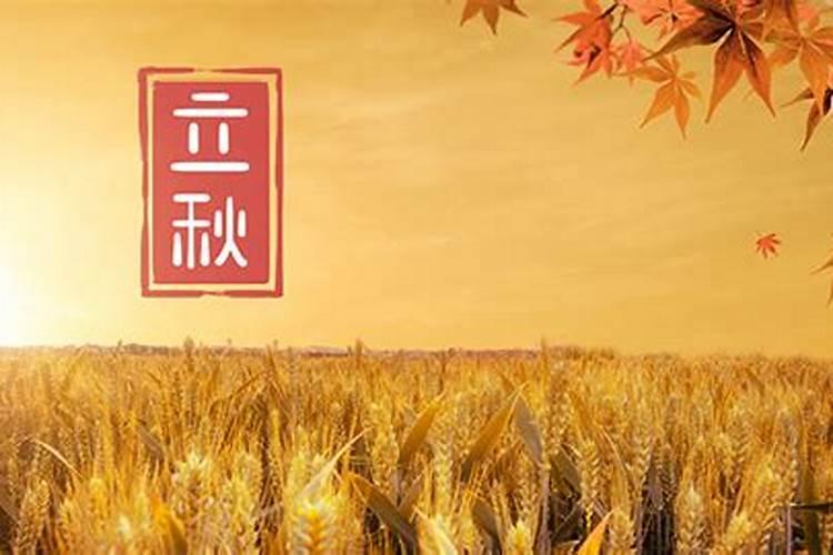 女命时柱带将星特点是什么？