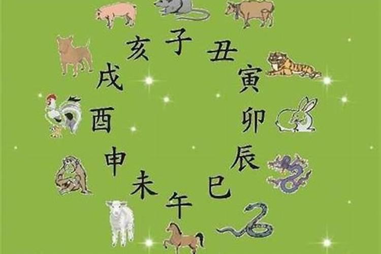 属相婚配真的很准吗
