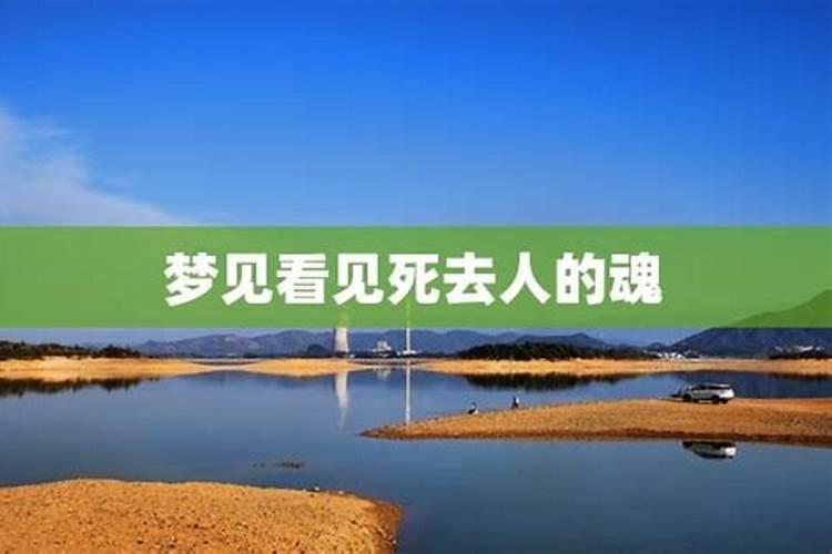 属虎的几月出生最好