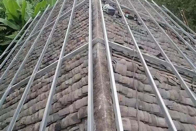 重阳节做什么活动适合老人