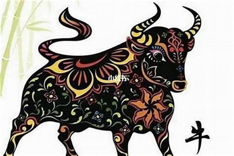 重阳节适合老年人搞的活动
