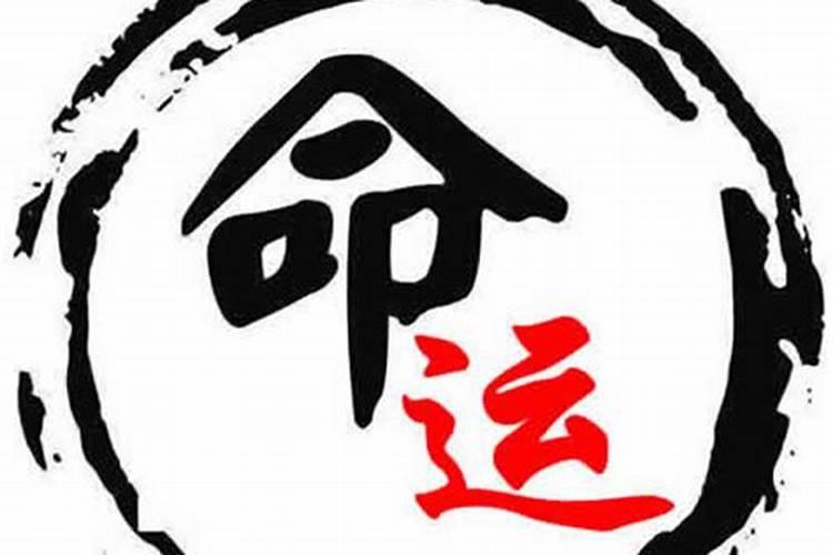 我是阴历1988年11月17号出生,请问我的命运会怎么样？适合做什么工作？