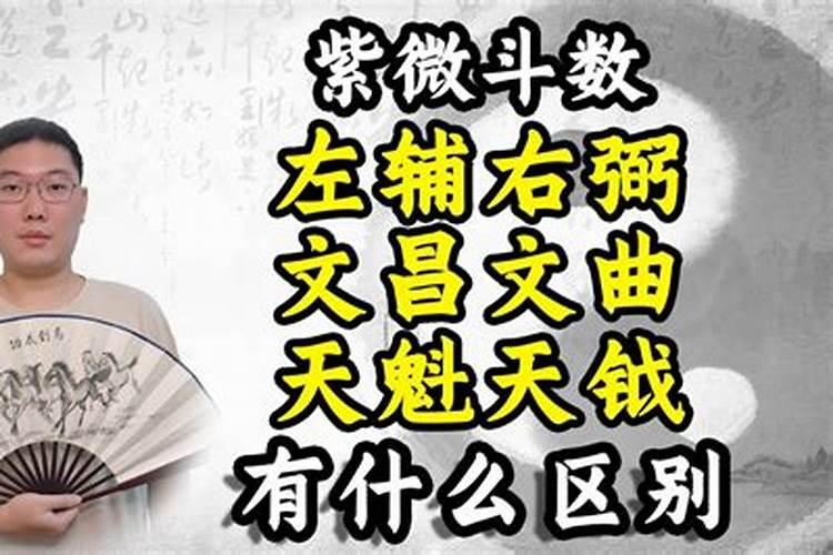 身主文昌什么意思