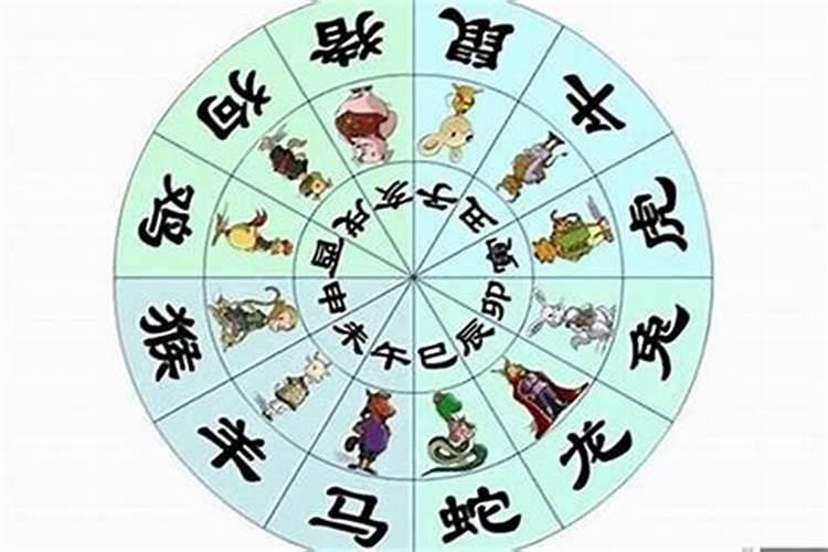 吃柿饼的寓意