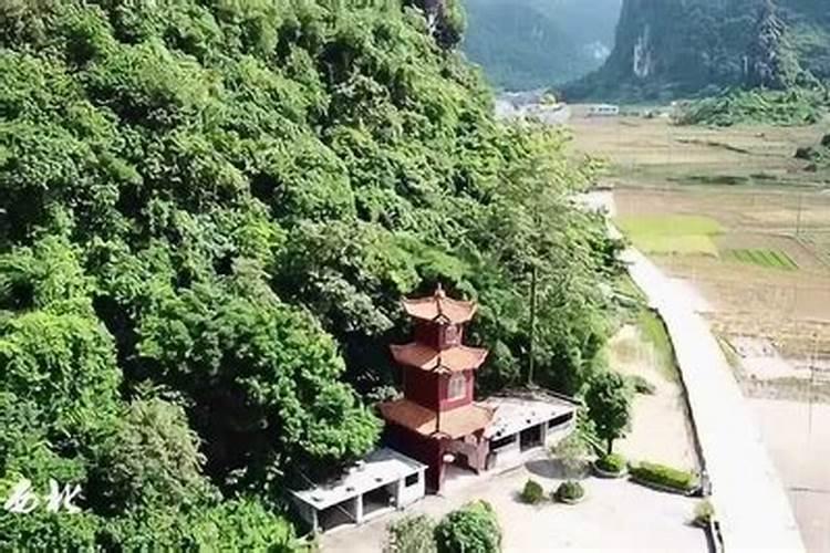 为什么广西人都是过七月十四