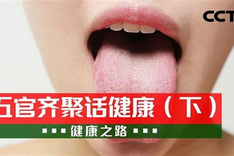 玉照定真经·杂论二