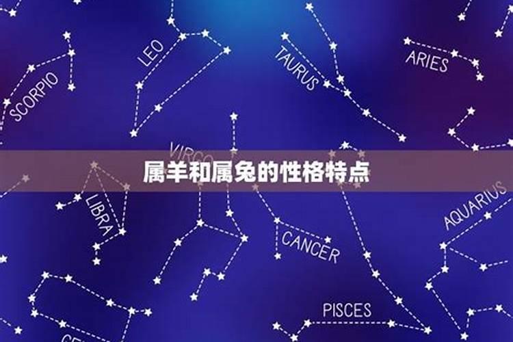 属羊和属兔的合不合