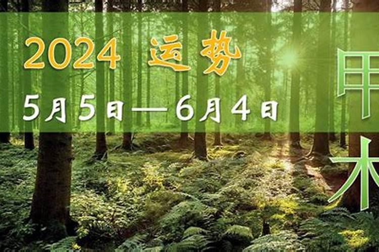 甲木日元遇未年的运程