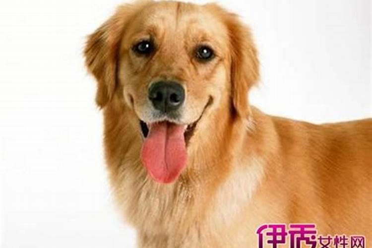 清明节是几月几日,有4月6日的吗