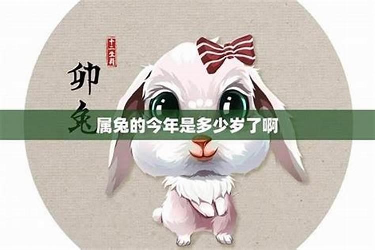 1987年农历3月15未时属兔的命运和婚姻怎么样？