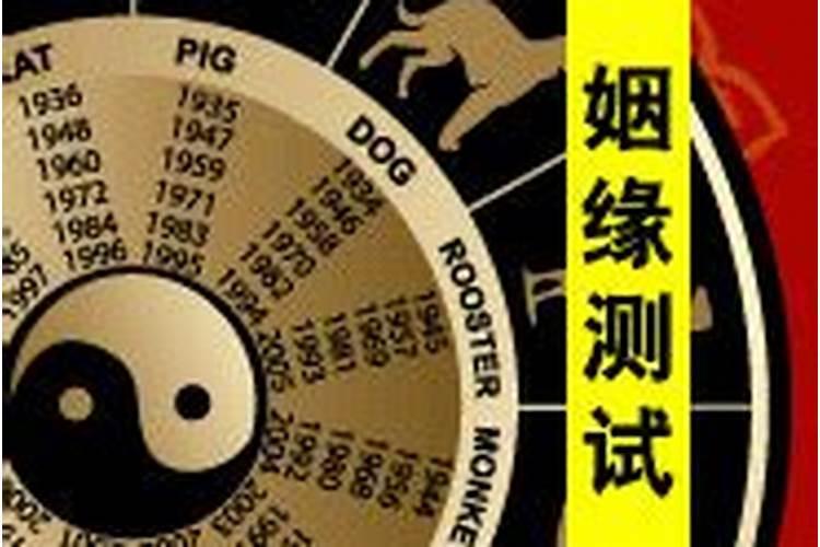 测婚姻是否缘分已尽