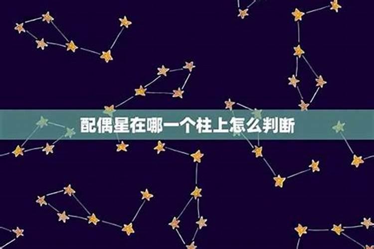 1969年农历正月十二号出生女属鸡人命运