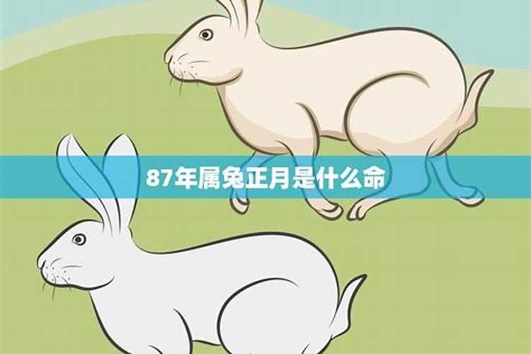 男1987年农历正月初一午时生人命运,知道的朋友详解…谢谢!!!