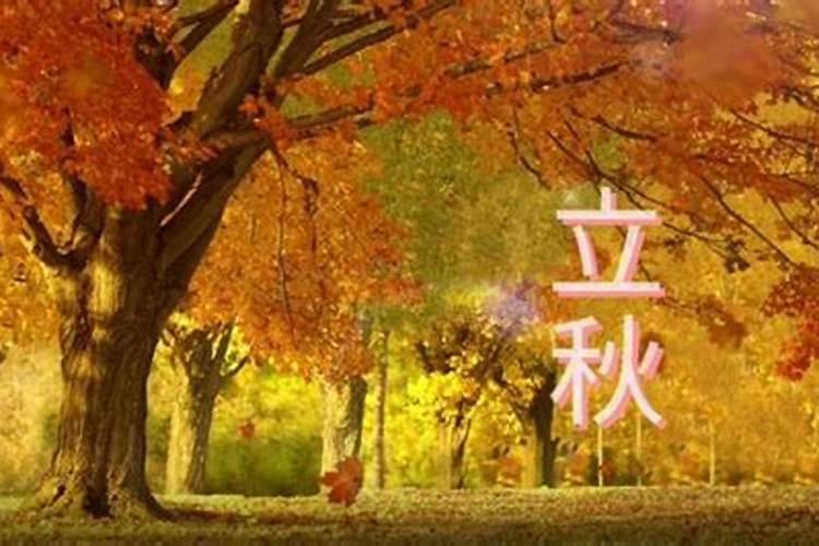 属牛和属马的合得来吗