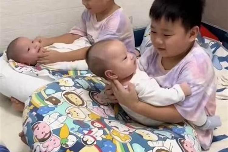生肖猪的终身运势？