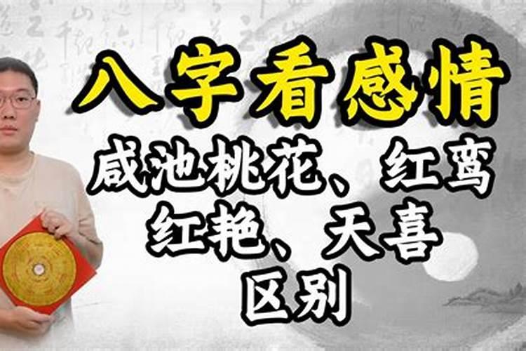 红鸾和天喜哪个是正缘