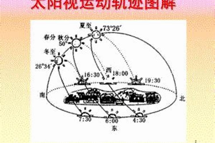 梦见捡螺蛳是什么预兆？