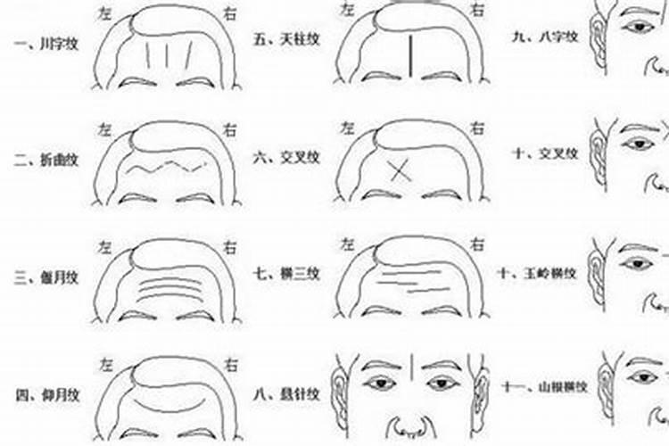 如何从额头看出未来？