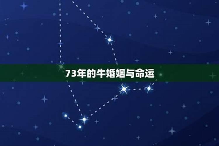 73年婚姻与命运如何,73年的牛女和哪一年的属相相配婚姻较幸福