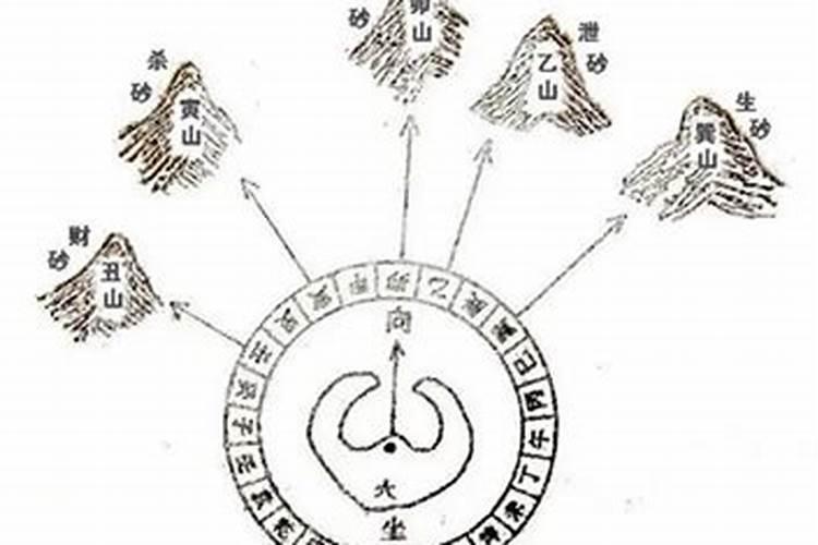 今年生人九星命宫是什么