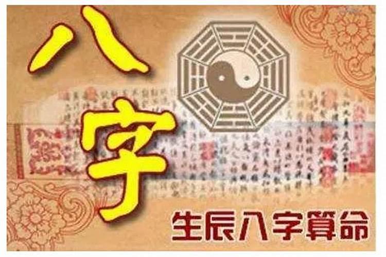 梦见摘枣和吃枣的预兆