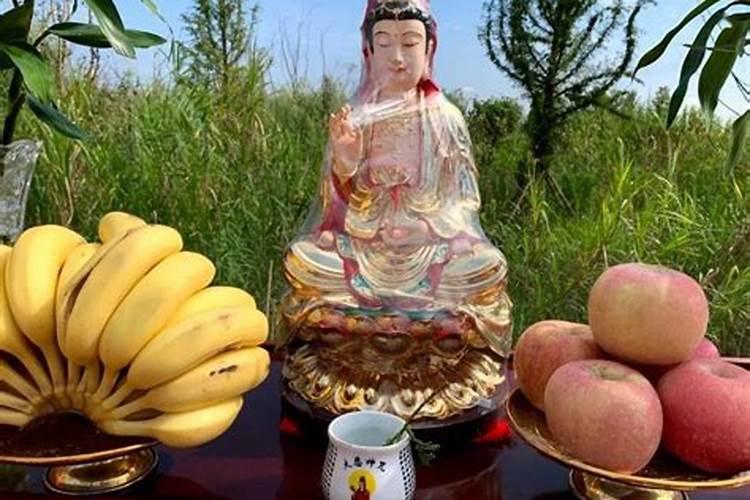 春节深圳旅游好去处,热门景点推荐