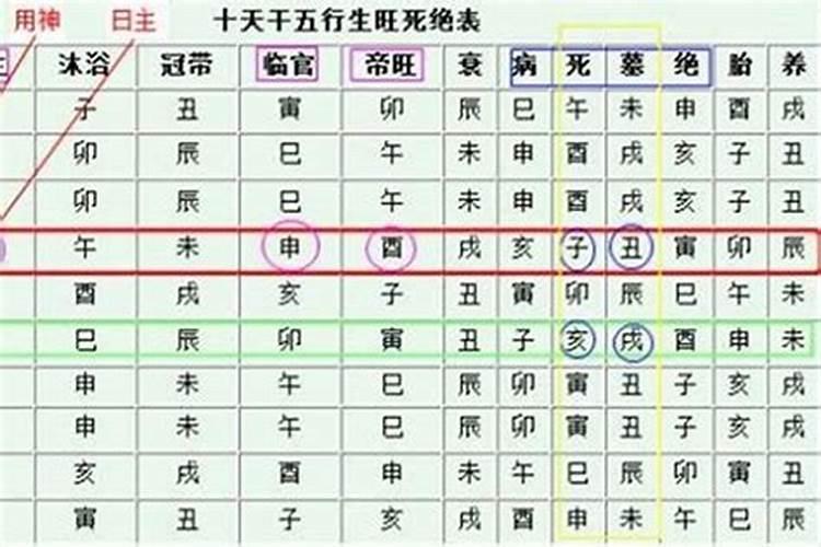 猪狗属相是不是相合