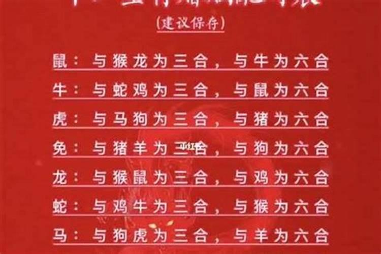 属狗和属猪的适合做夫妻吗