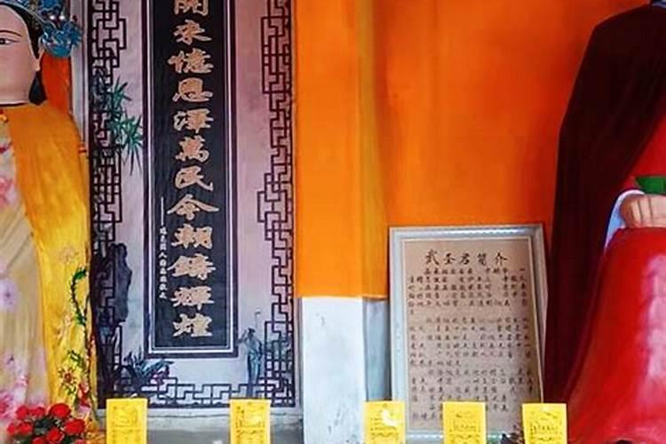 2025犯太岁最严重三个生肖