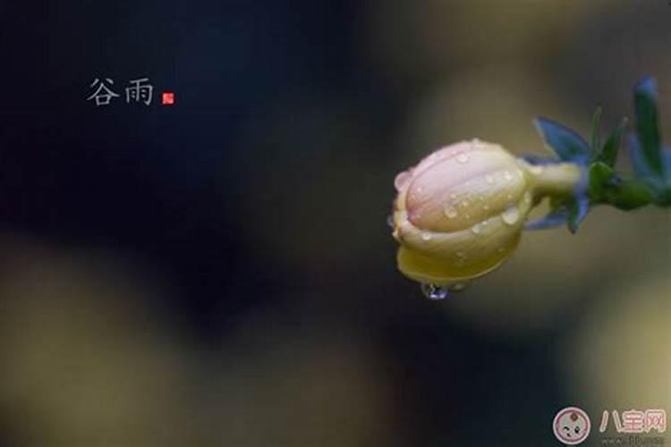 梦见姐姐被淹死了的预兆