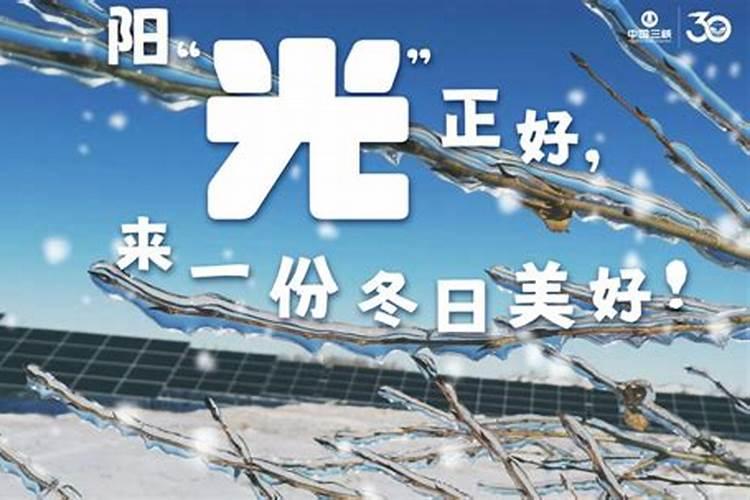 成都冬至吃什么饺子还是汤圆