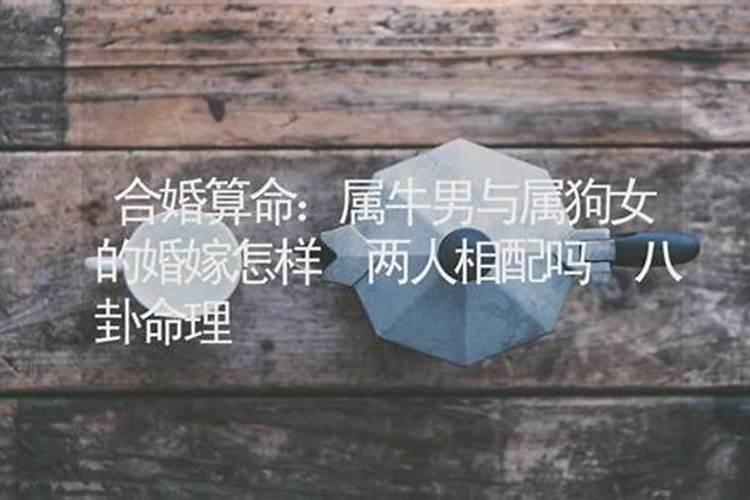 男方提亲带的八件东西 关于提亲的注意事项