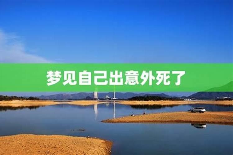 梦见坟地上有苍蝇周公解梦